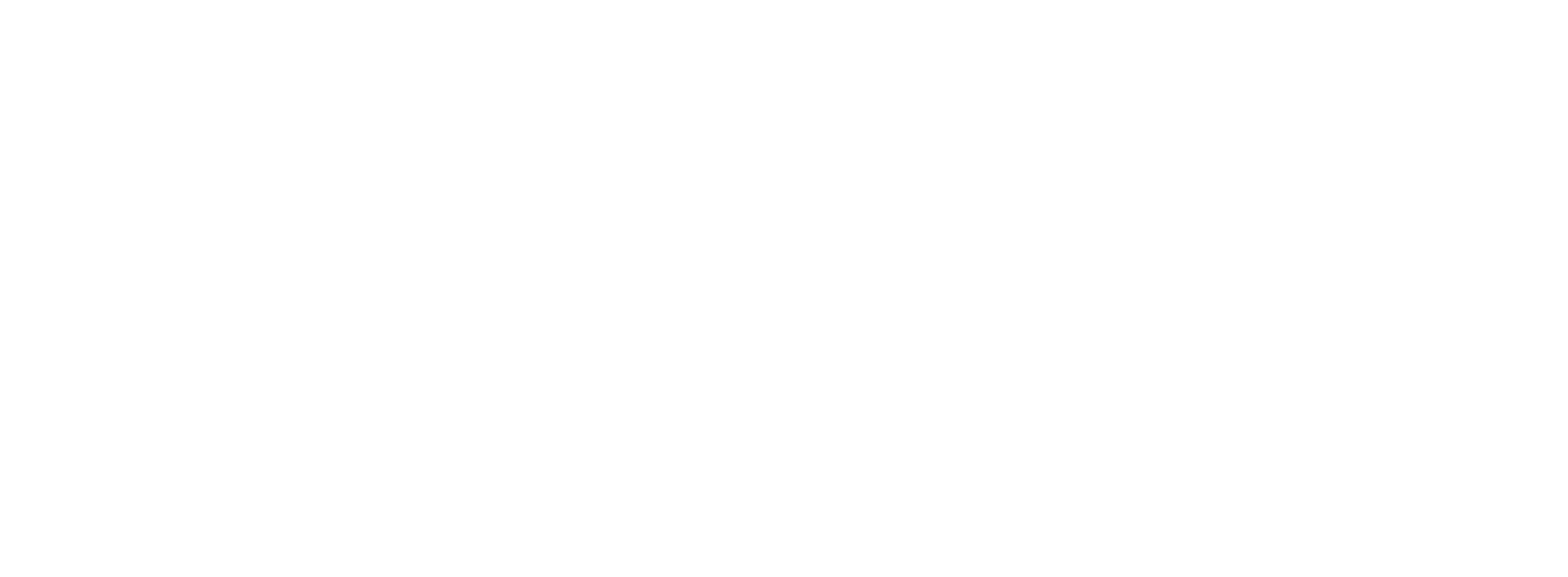 Horaizon Logo